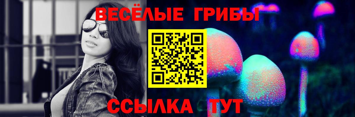 Псилоцибиновые грибы Magic Shrooms Новозыбков